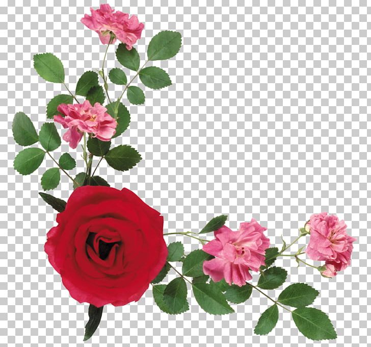 Portable Network Graphics Flower Psd Floral Design PNG, Clipart, Annual Plant, Cut Flowers, Flora, Floral Design, Floribunda Free PNG Download