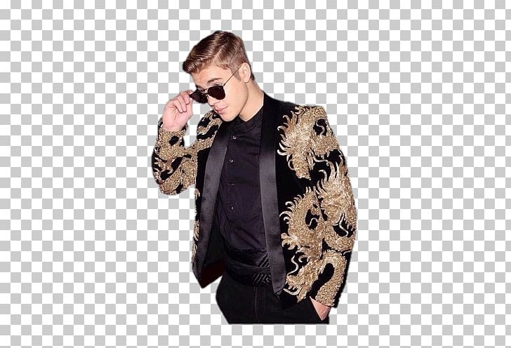 Purpose World Tour Celebrity Song PNG, Clipart, Bieber, Blog, Celebrity, Female, Fur Free PNG Download