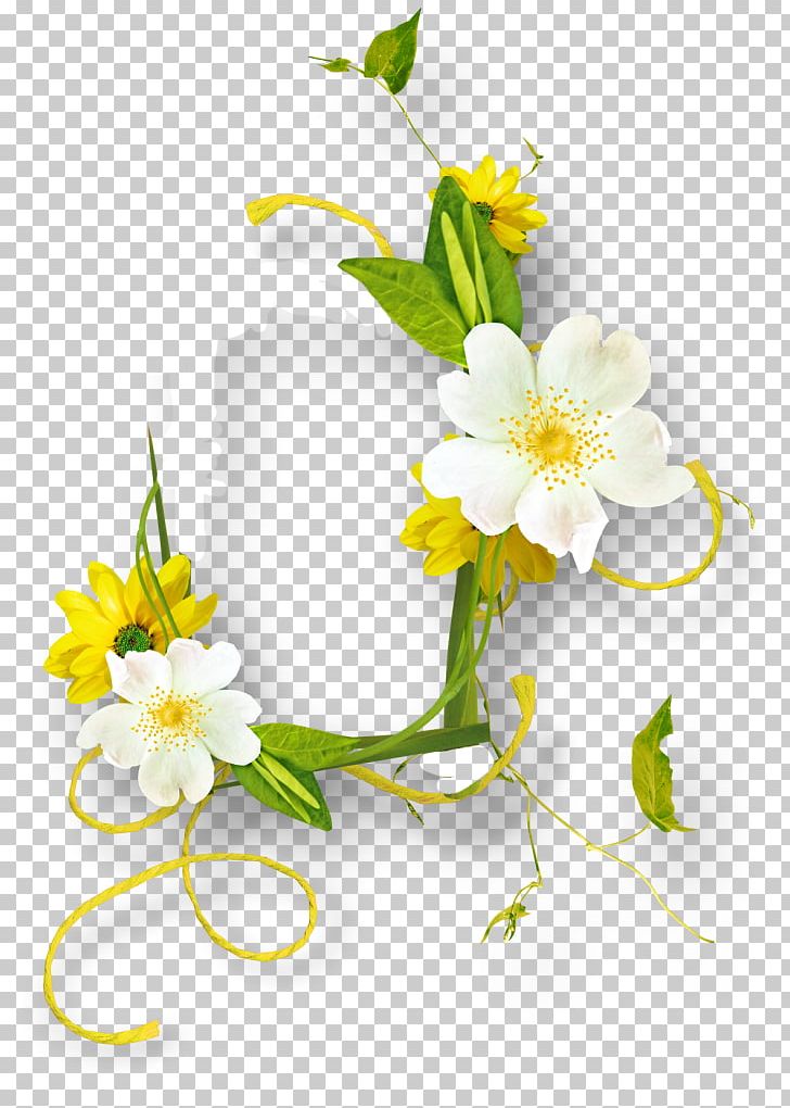 Floral Design Portable Network Graphics PNG, Clipart, Branch, Download, Flora, Floral Design, Floristry Free PNG Download