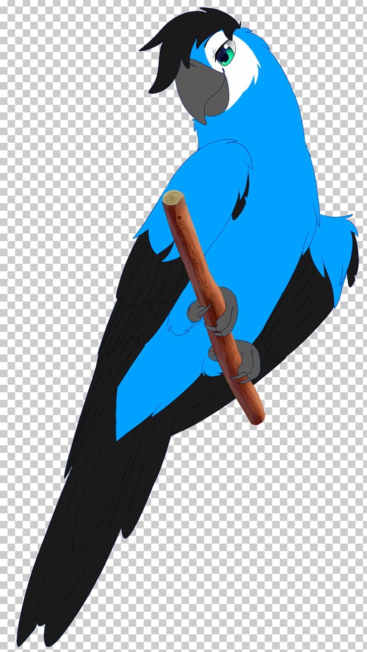 Spix's Macaw Beak Fan Art Blue-and-yellow Macaw PNG, Clipart, Art, Beak, Bird, Blueandyellow Macaw, Cartoon Free PNG Download