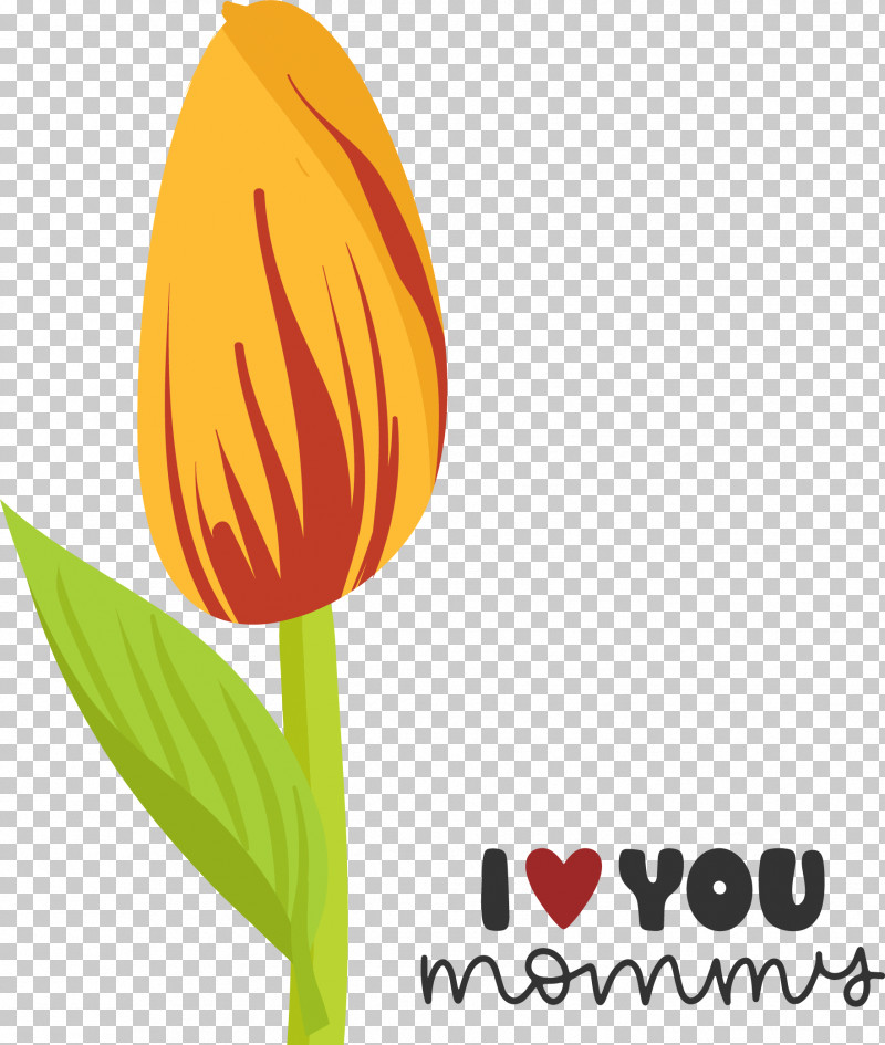 Flower Plant Stem Logo Tulip Petal PNG, Clipart, Biology, Flower, Logo, Meter, Petal Free PNG Download