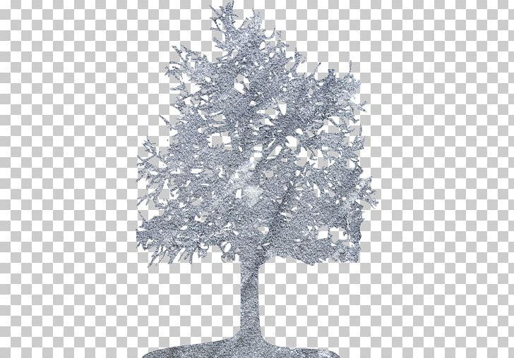 Fir Computer Icons Mobile App Graphics Tree PNG, Clipart, Branch, Computer Icons, Conifer, Download, English Phonology Free PNG Download