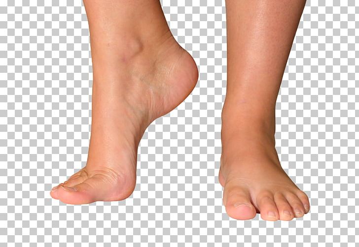 Shoe Ankle Foot Sole Calf PNG, Clipart,  Free PNG Download