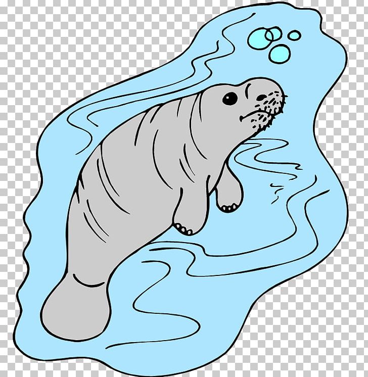 West Indian Manatee African Manatee Coloring Book PNG, Clipart, Animal Figure, Area, Art, Artwork, Carnivoran Free PNG Download