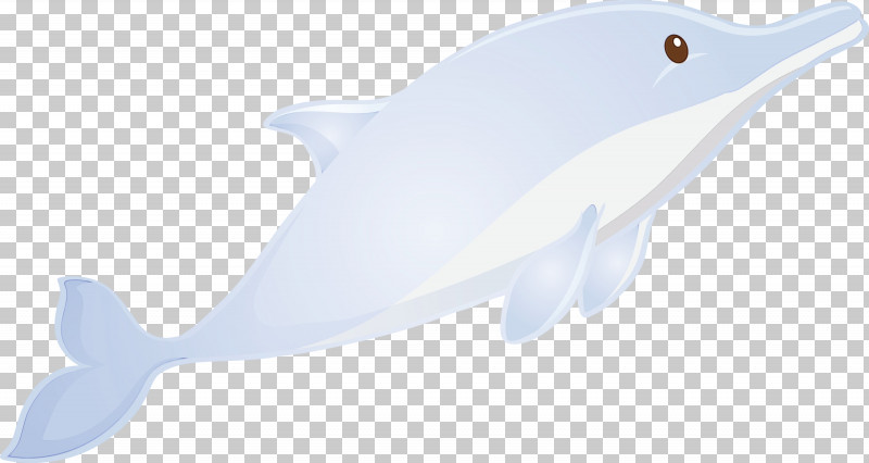 Fish Fin Cetacea Fish Dolphin PNG, Clipart, Blue Whale, Bowhead, Cetacea, Dolphin, Fin Free PNG Download