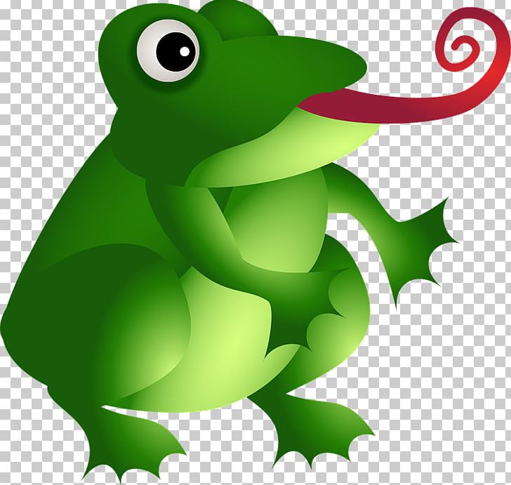 Amazon.com Frog Amphibian PNG, Clipart, Amazon Alexa, Amazoncom, Amphibian, Animal, Animals Free PNG Download