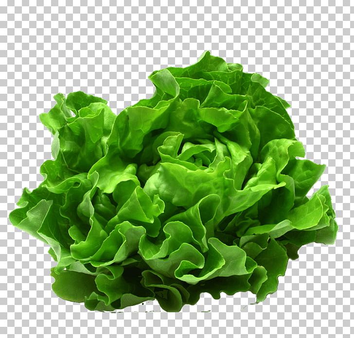 Caesar Salad Food Leaf Vegetable Kapsalon PNG, Clipart, Caesar Salad, Eating, Food, Iceberg Lettuce, Kapsalon Free PNG Download