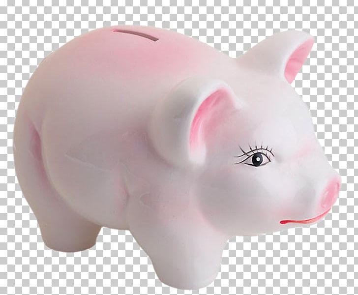 Domestic Pig Snout Piggy Bank PNG, Clipart, Bank, Clips, Closed, Decorative, Elements Free PNG Download