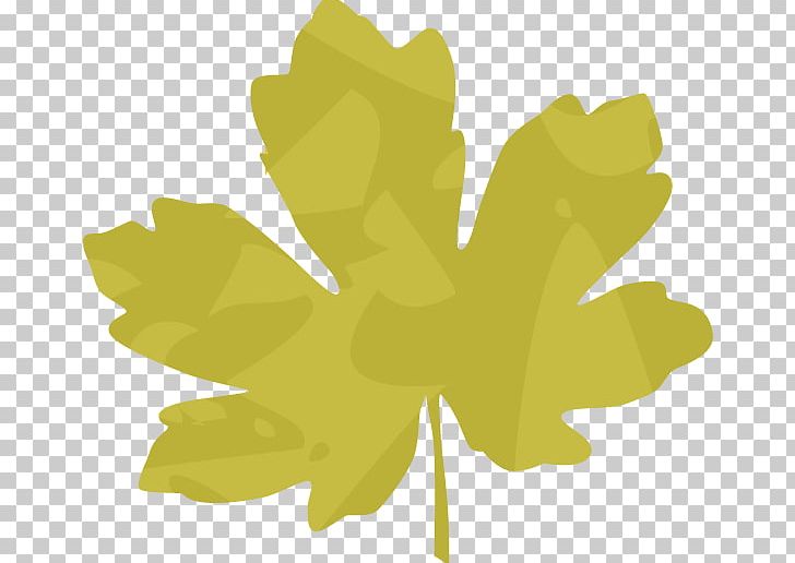 Leaf Plant Stem Flower Petal PNG, Clipart, Brown Quail, Embellishment, Emblem, Flora, Flower Free PNG Download