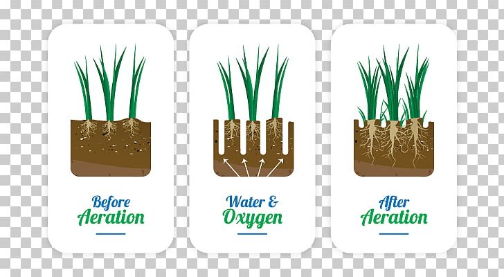 Brand Logo Grasses PNG, Clipart, Brand, Grass, Grasses, Grass Family, Logo Free PNG Download