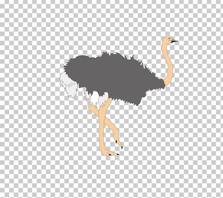 Common Ostrich Bird Cartoon PNG, Clipart, Animal, Basketball Ostrich, Beak, Bir, Common Ostrich Free PNG Download