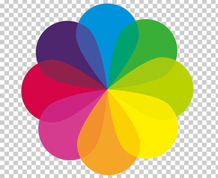 Color PNG, Clipart, Circle, Color, Colorful Background, Color Pencil, Color Powder Free PNG Download