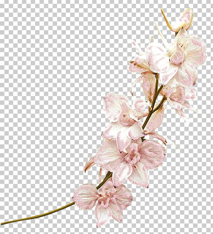 Cut Flowers Floral Design Adoration Artificial Flower PNG, Clipart, Adoration, Artificial Flower, Blossom, Branch, Cherry Blossom Free PNG Download