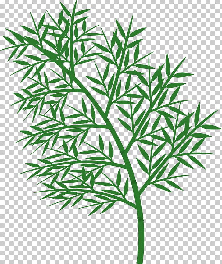 Grasses Leaf Plant Stem Line White PNG, Clipart, Black And White, Branch, Family, Futurama Season 7, Grass Free PNG Download