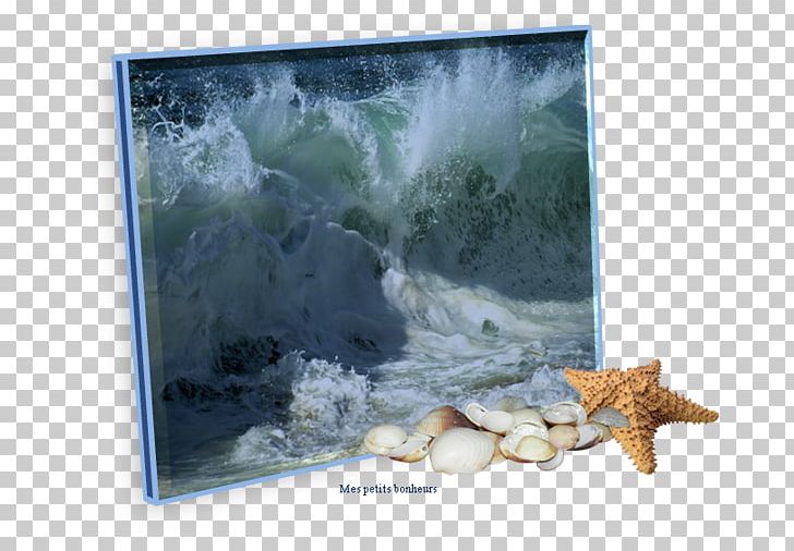 Shake A Wave Go Back To The Zoo Painting Water Resources Desktop PNG, Clipart, Certificate Of Deposit, Computer, Computer Wallpaper, Desktop Wallpaper, Je Me Laisse Bercer Free PNG Download