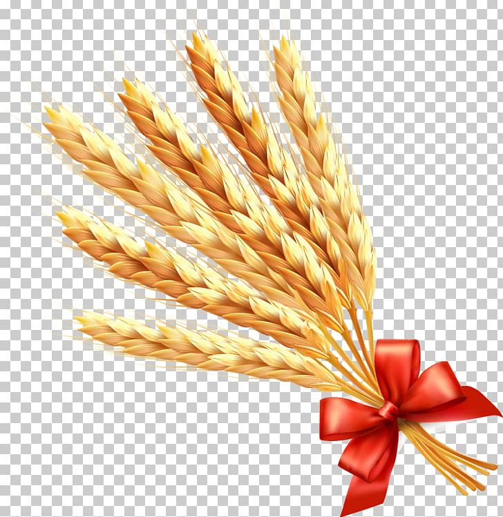 Wheat Ear Cereal PNG, Clipart, Agriculture, Bow, Cartoon, Cartoon Wheat,  Cereal Free PNG Download