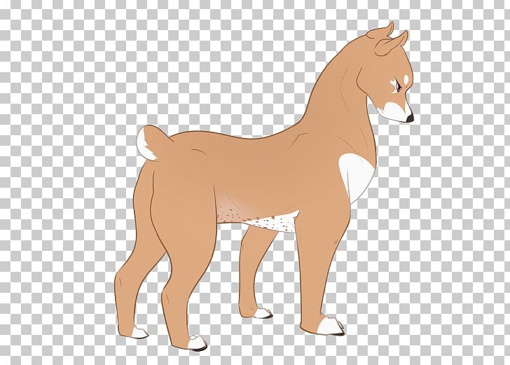 Dog Mustang Foal Stallion Colt PNG, Clipart, Animal, Animal Figure, Animals, Canidae, Carnivoran Free PNG Download