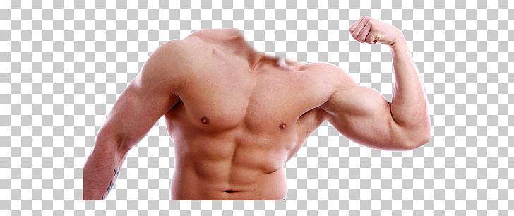 Muscle PNG, Clipart, Muscle Free PNG Download