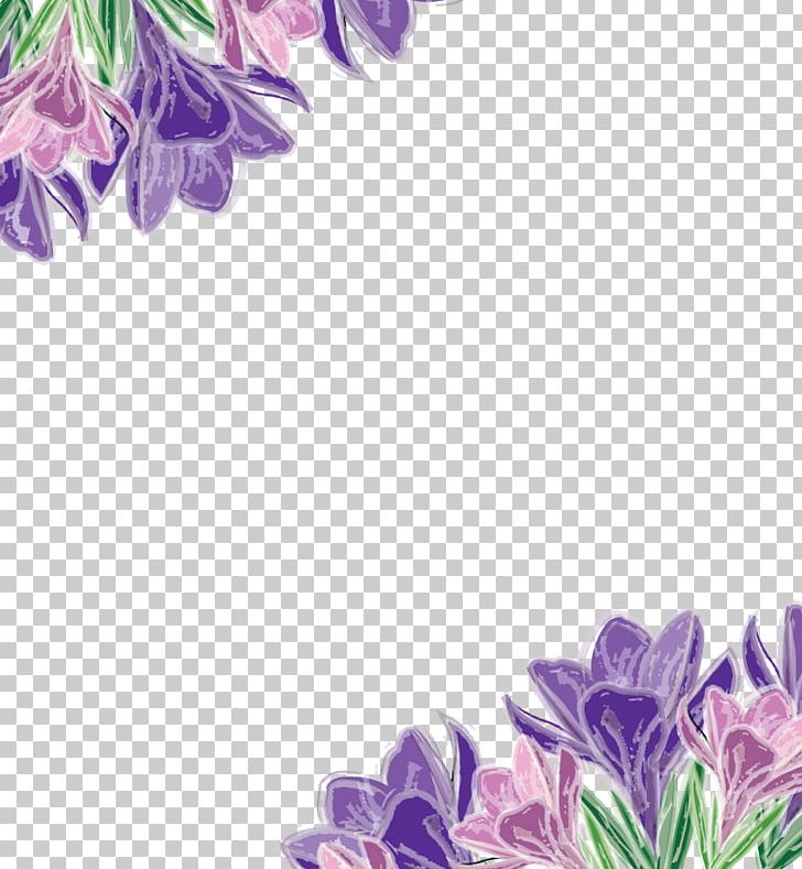 Purple Euclidean Flower Violet PNG, Clipart, Blue, Christmas Decoration, Color, Dahlia, Decoration Free PNG Download