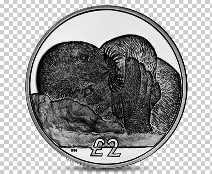 South Georgia Island Weddell Seal South Sandwich Islands United Kingdom Troy Weight PNG, Clipart, Animal, Black And White, Coin, Monochrome Photography, Organism Free PNG Download