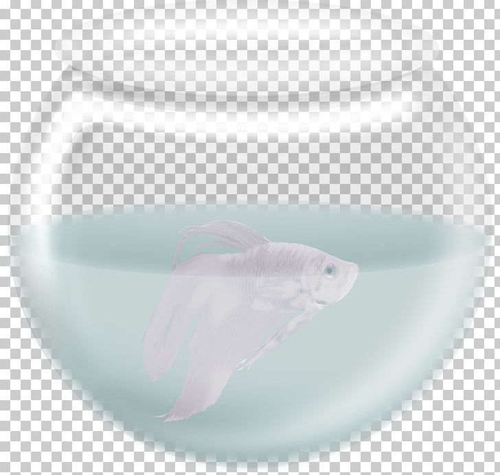 Toilet Seat Marine Mammal Pink PNG, Clipart, Animal, Aquarium Fish, Fish, Fish Aquarium, Fishes Free PNG Download