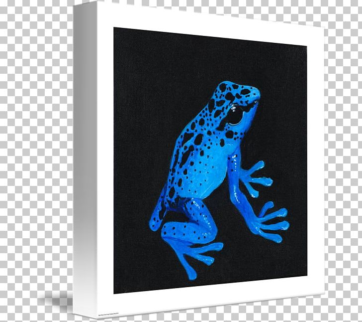 Tree Frog Cobalt Blue Frames PNG, Clipart, Amphibian, Blue, Cobalt, Cobalt Blue, Electric Blue Free PNG Download