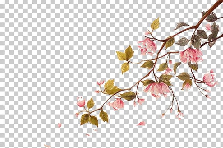 Cherry Blossom Watercolor Painting Ci PNG, Clipart, Blossom, Blossoms, Branch, Branches, Cherry Free PNG Download