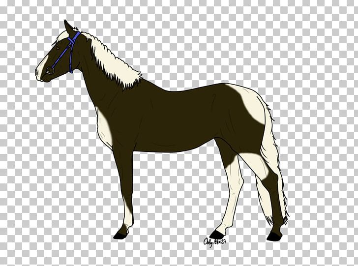 Mane Mustang Stallion Foal Mare PNG, Clipart, Bridle, Colt, Dog Harness, Foal, Halter Free PNG Download