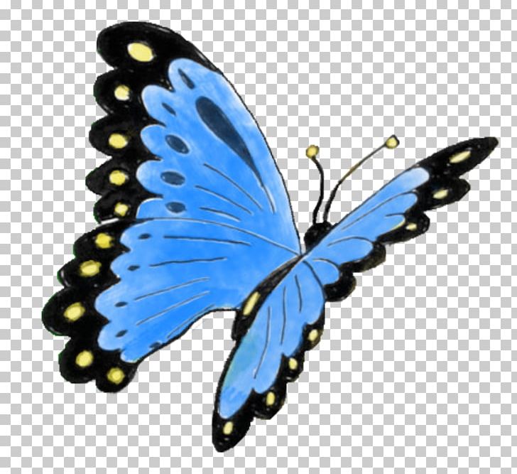Monarch Butterfly Nymphalidae Microsoft Azure Milkweeds PNG, Clipart, Arthropod, Brush Footed Butterfly, Butterfly, Insect, Insects Free PNG Download