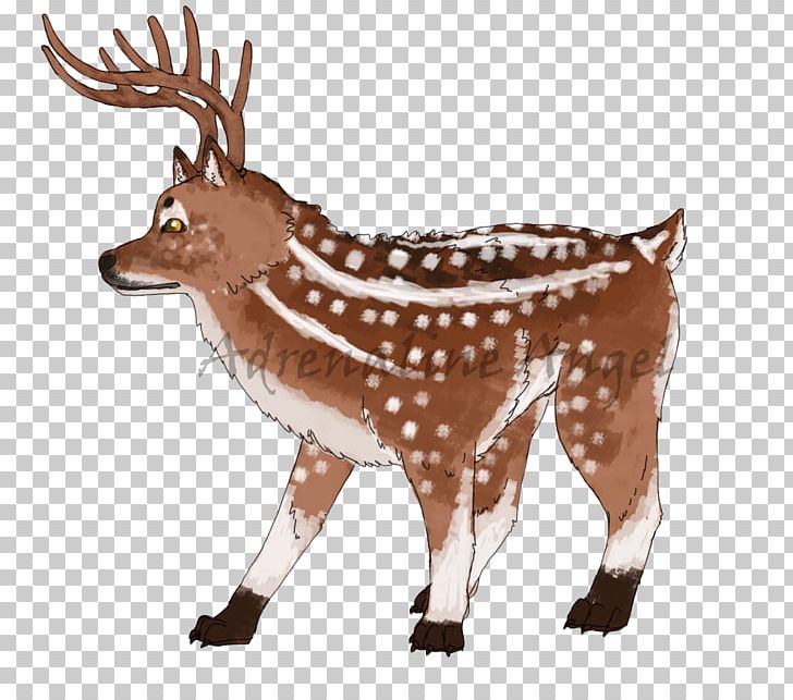 Reindeer White-tailed Deer Elk Musk Deers PNG, Clipart, Angel Dog, Animal, Animal Figure, Antler, Cartoon Free PNG Download