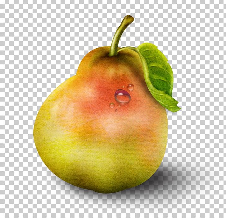 Resolution PNG, Clipart, Accessory Fruit, Apple, Bun, Button, Computer Software Free PNG Download