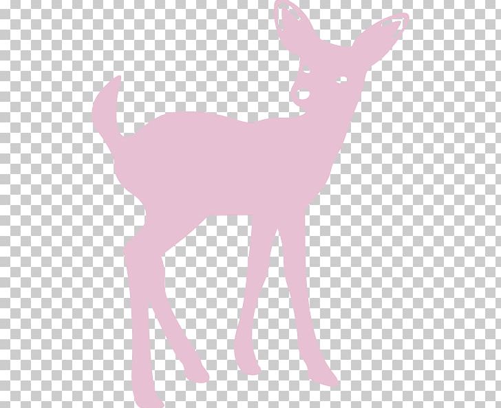 White-tailed Deer PNG, Clipart, Antelope, Antler, Bambi, Computer Icons, Cute Deer Free PNG Download