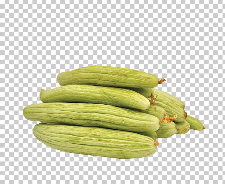 Armenian Cucumber Vegetarian Cuisine Pickled Cucumber Cucurbita Pepo Var. Cylindrica PNG, Clipart, Agriculture, Archaeology, Armenian Cucumber, Cucumber, Cucumber Gourd And Melon Family Free PNG Download