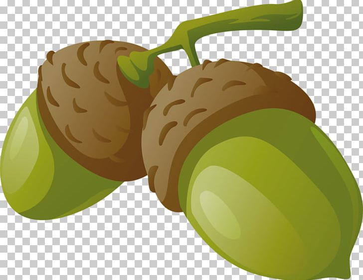 Drawing Fruit Portable Network Graphics PNG, Clipart, Acorn, Drawing, Food, Fruit, Kiwifruit Free PNG Download