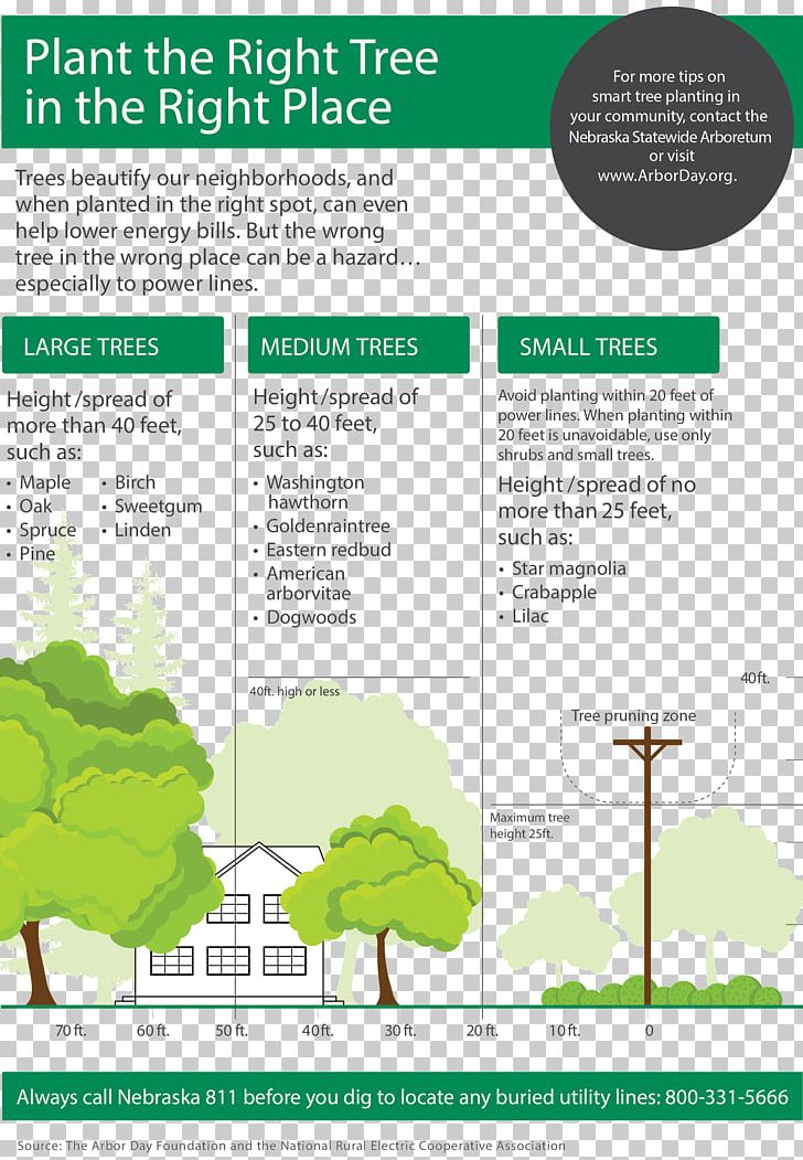 Tree Planting Pruning Sowing Lawn PNG, Clipart, Brochure, Diagram, Especially For Youth, Essay, Grass Free PNG Download