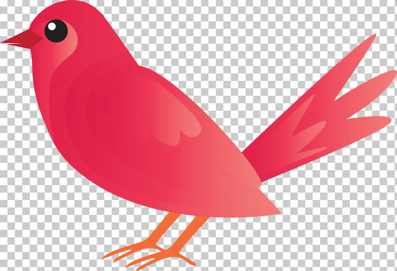Bird Beak Red Cardinal Songbird PNG, Clipart, Beak, Bird, Cardinal, European Robin, Finch Free PNG Download