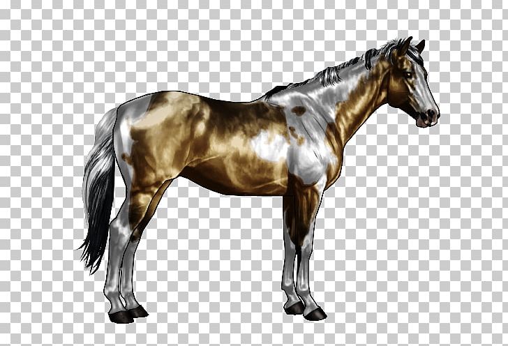 American Paint Horse Appaloosa Overo Roan Tobiano PNG, Clipart, Buckskin, Dun Locus, Equine Coat Color, Horse, Horse Harness Free PNG Download