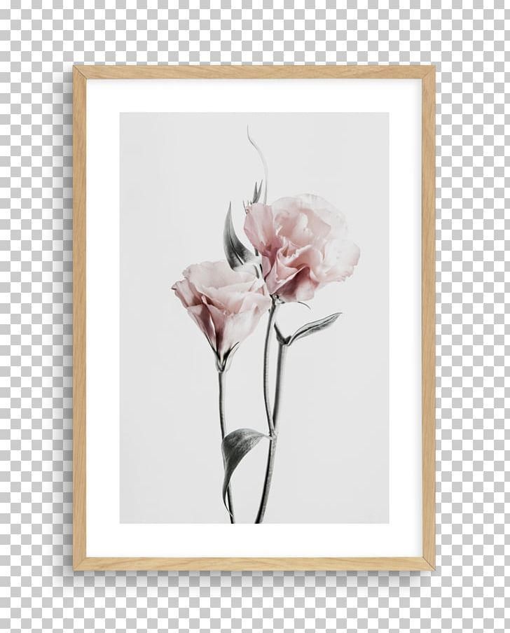 Floral Design Cut Flowers Rose Family Frames PNG, Clipart, Art, Cut Flowers, Drawing, Family, Flora Free PNG Download