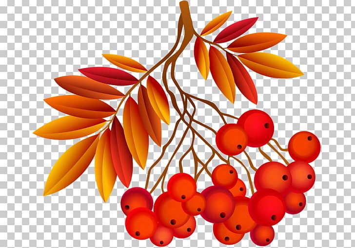 Art Autumn PNG, Clipart, Animation, Art, Art Museum, Autumn, Autumn Leaf Color Free PNG Download