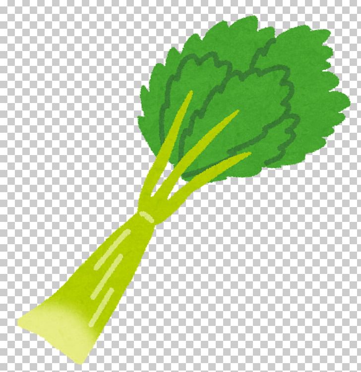 Celery Food Vegetable Dietary Fiber Beta-Carotene PNG, Clipart, Asazuke, Bamboo Shoot, Beta Carotene, Betacarotene, Celery Free PNG Download