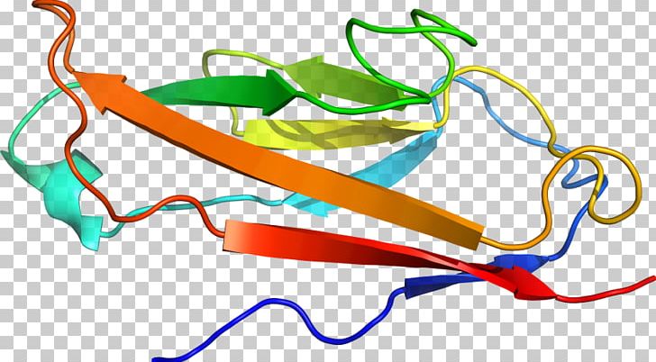 Line PNG, Clipart, Area, Art, Artwork, Cytochrome P450, Line Free PNG Download