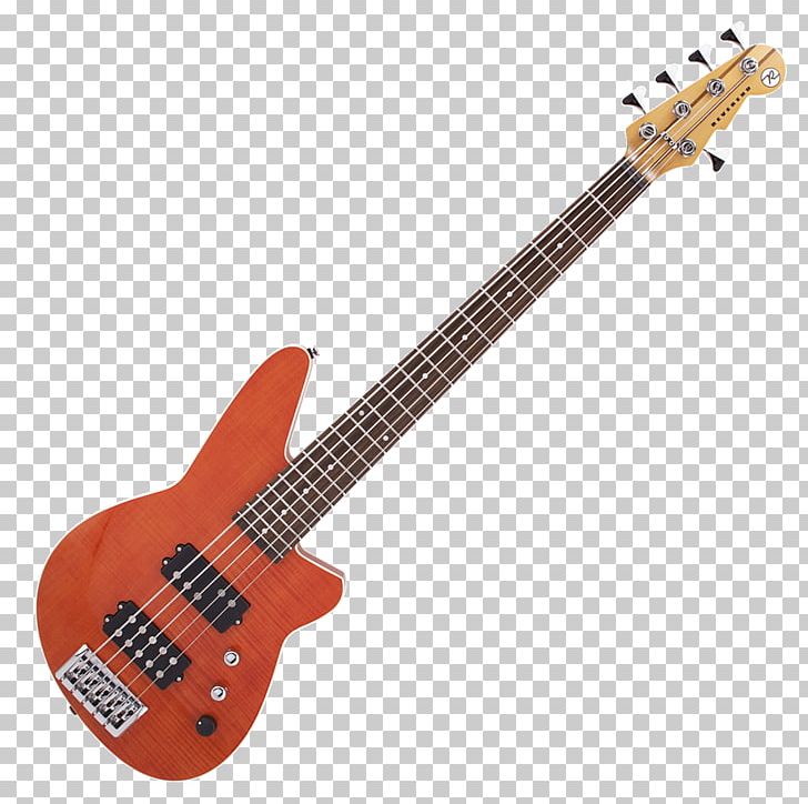 Bass Guitar Double Bass Electric Guitar Acoustic Guitar PNG, Clipart, Acoustic Electric Guitar, Double Bass, Guitar Accessory, Ibanez, Jazz Guitarist Free PNG Download