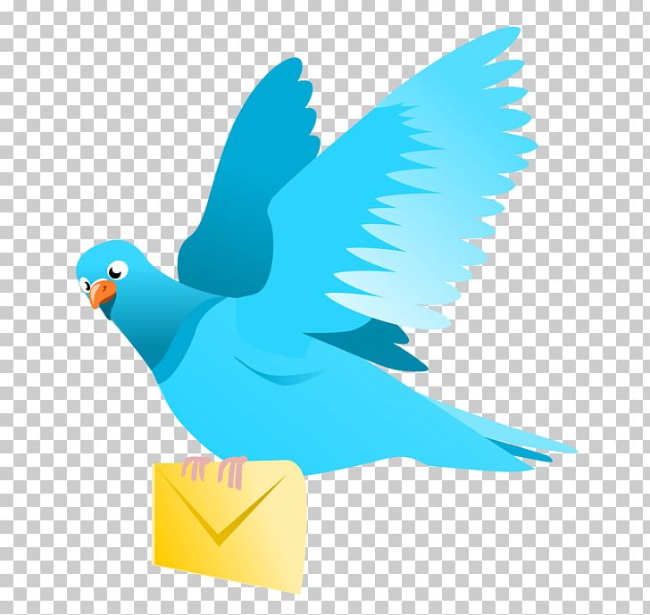 English Carrier Pigeon Homing Pigeon Columbidae Pigeon Post PNG, Clipart, Away, Beak, Bird, Columbidae, Domain Free PNG Download