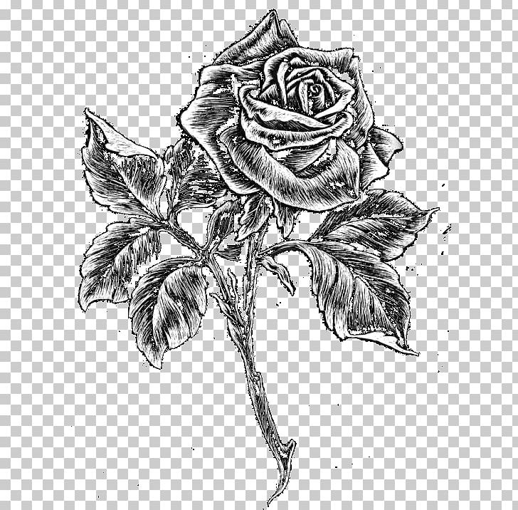 Garden Roses Headstone Sketch Visual Arts Monument PNG, Clipart, Art, Artwork, Black And White, Caricature, Drawing Free PNG Download