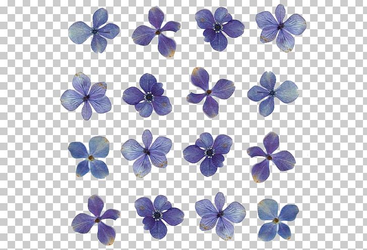 Pressed Flower Craft Light Floral Design PNG, Clipart, Blue, Blue Flowers, Cobalt Blue, Desktop Wallpaper, Floral Design Free PNG Download
