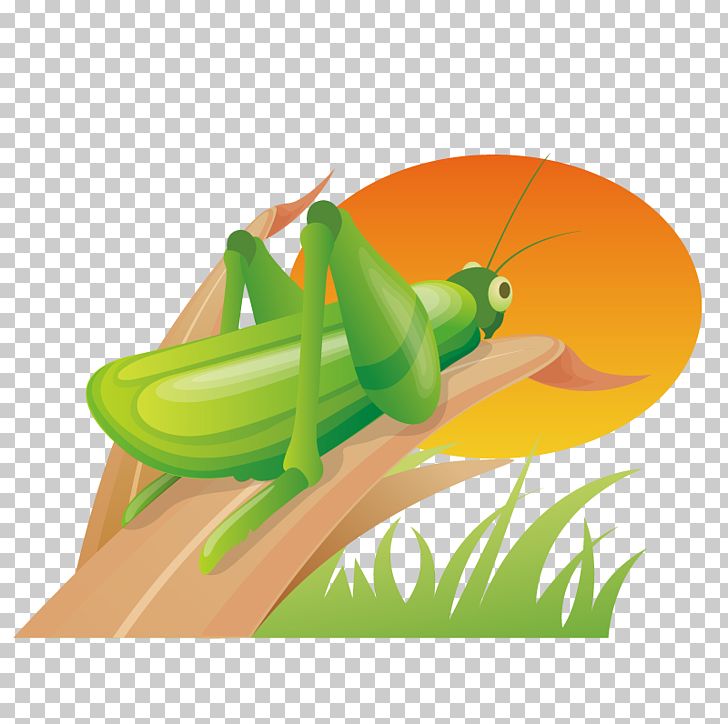 South Korea Icon Design World Wide Web Icon PNG, Clipart, Arthropod, Cartoon, Computer Icons, Cricket Like Insect, Download Free PNG Download