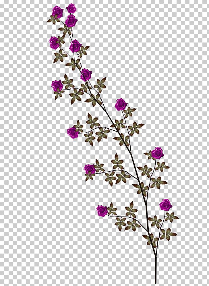 Purple Herbaceous Plant Image File Formats PNG, Clipart, Blossom, Branch, Clip Art, Computer Icons, Cut Flowers Free PNG Download