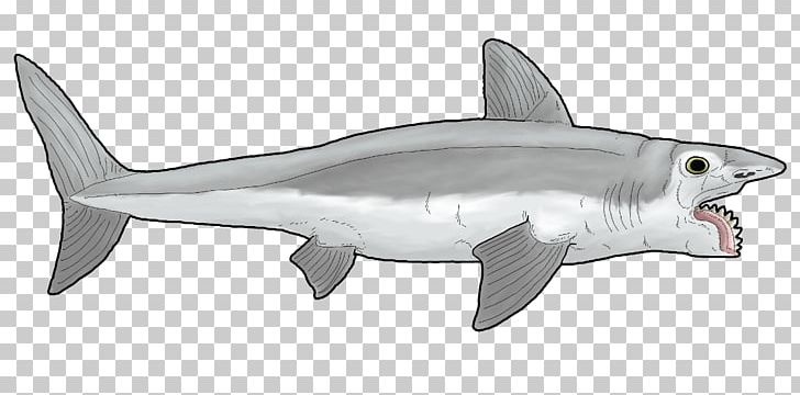 Tiger Shark Helicoprion Jurassic Park Builder YouTube PNG, Clipart, Animal, Animal Figure, Cartilaginous Fish, Drawing, Fauna Free PNG Download