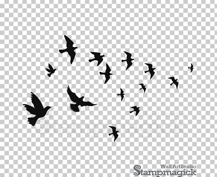 Bird Wall Decal Polyvinyl Chloride Decorative Arts PNG, Clipart, Animals, Beak, Bird, Bird Migration, Black And White Free PNG Download