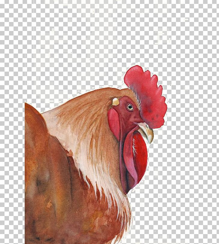 Rooster Chicken Watercolor Painting Art PNG, Clipart, Animals, Art, Badminton Shuttle Cock, Beak, Big Cock Free PNG Download